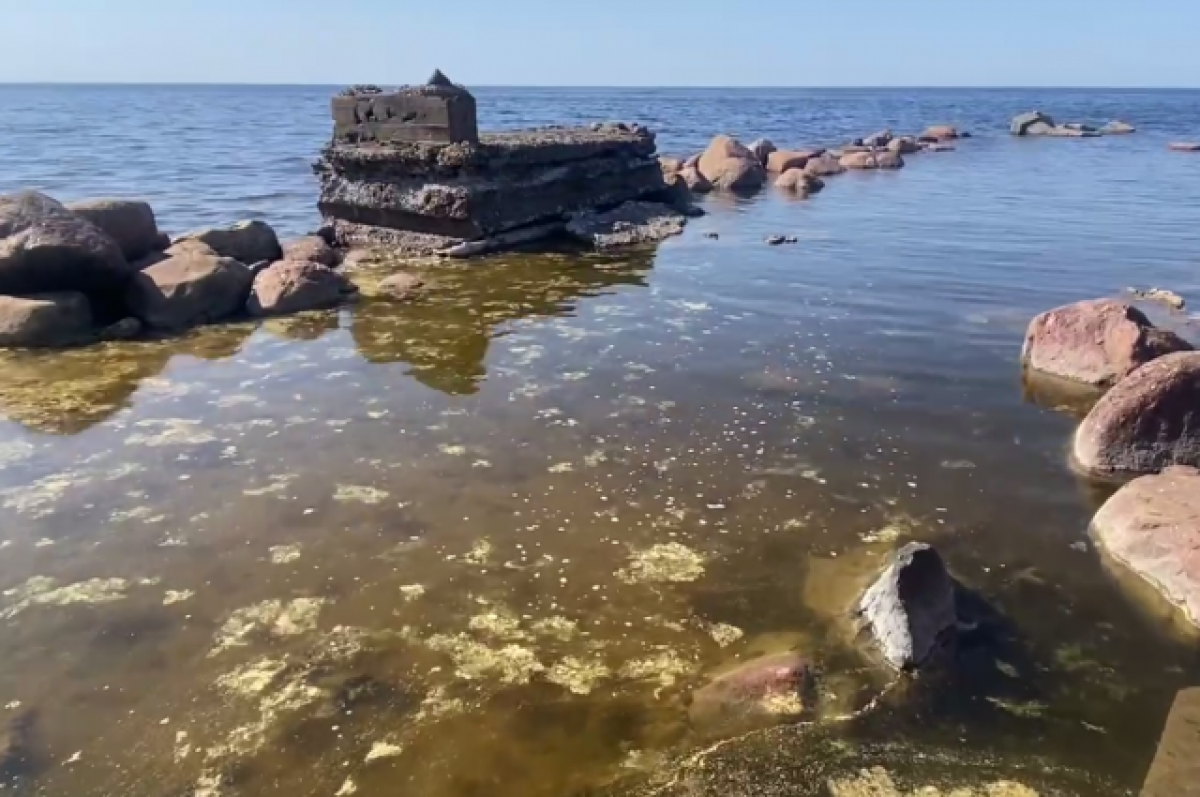 Балтийское море финский залив