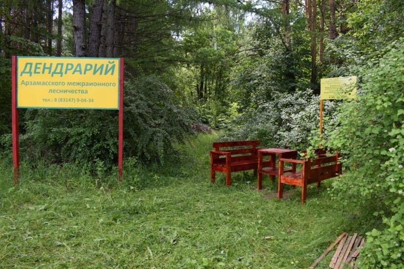 Дендрарий дзержинск нижегородской области фото