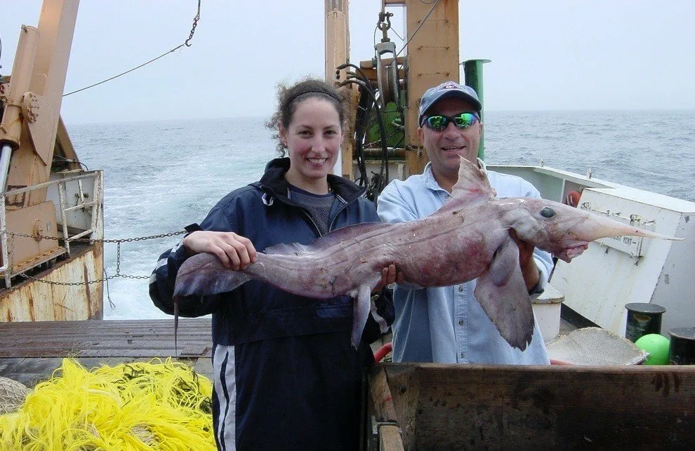 Это мама и папа вытащили меня из комнаты для семейной фотографии. 
