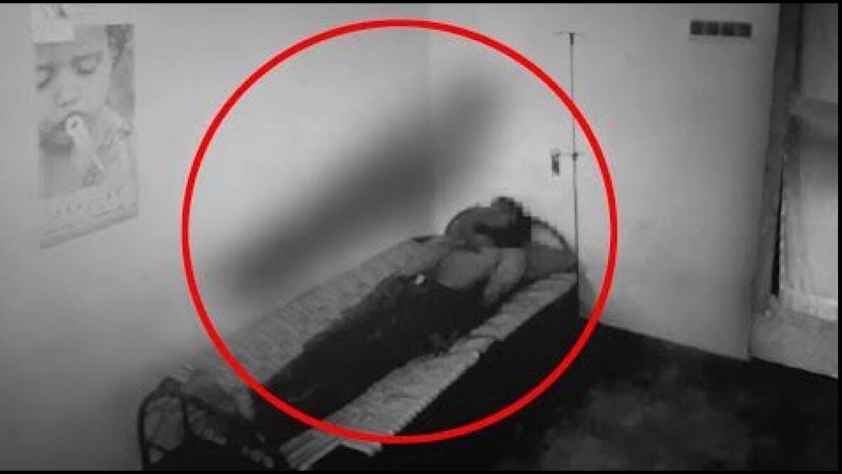 Есть ли на самом. Домовой в риал Ной жизни. Фотографии домового в реальной жизни. ДОМОВОЙВ реальноц жизни. Выглядит Домовой в реальной жизни.