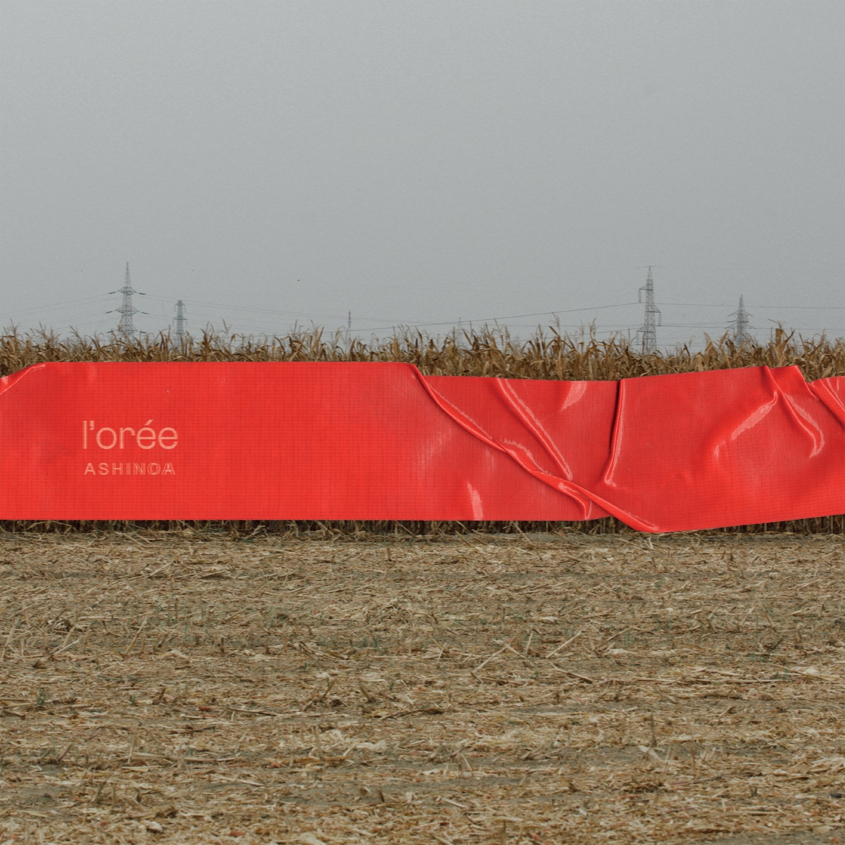 Ashinoa - L'Oree (Fuzz Club Records, 2022)