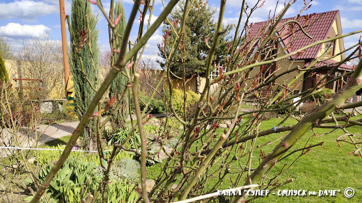 Очень толстые, согнуть их практически невозможно!