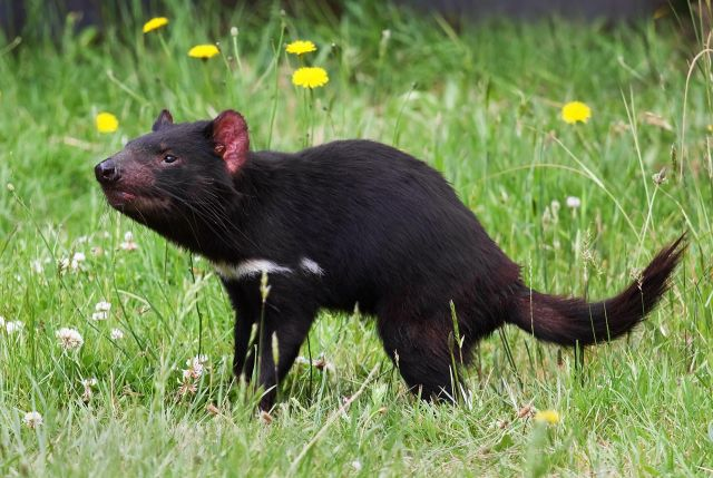ФОТО: Василий КЛИМОВ