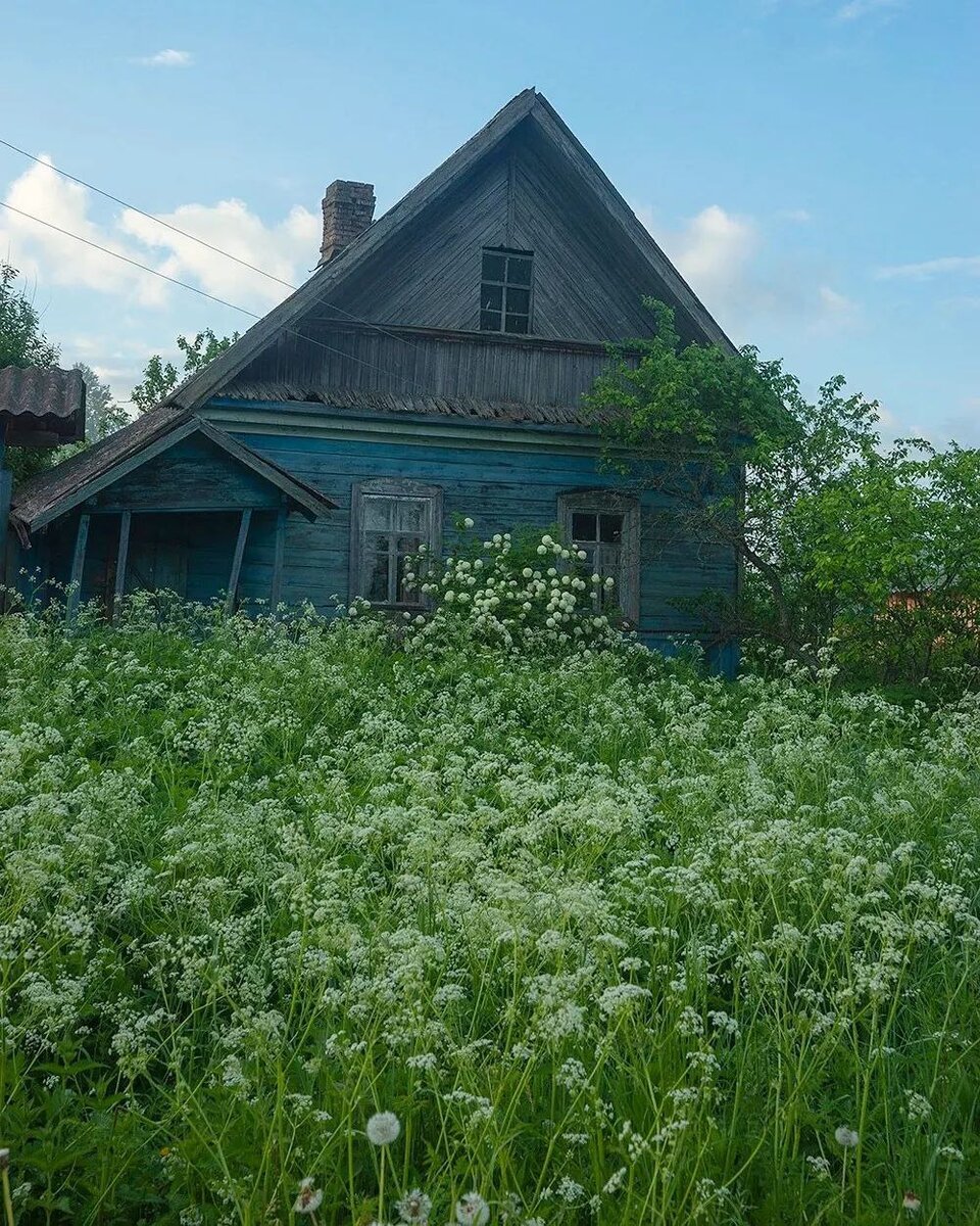 Из интернета