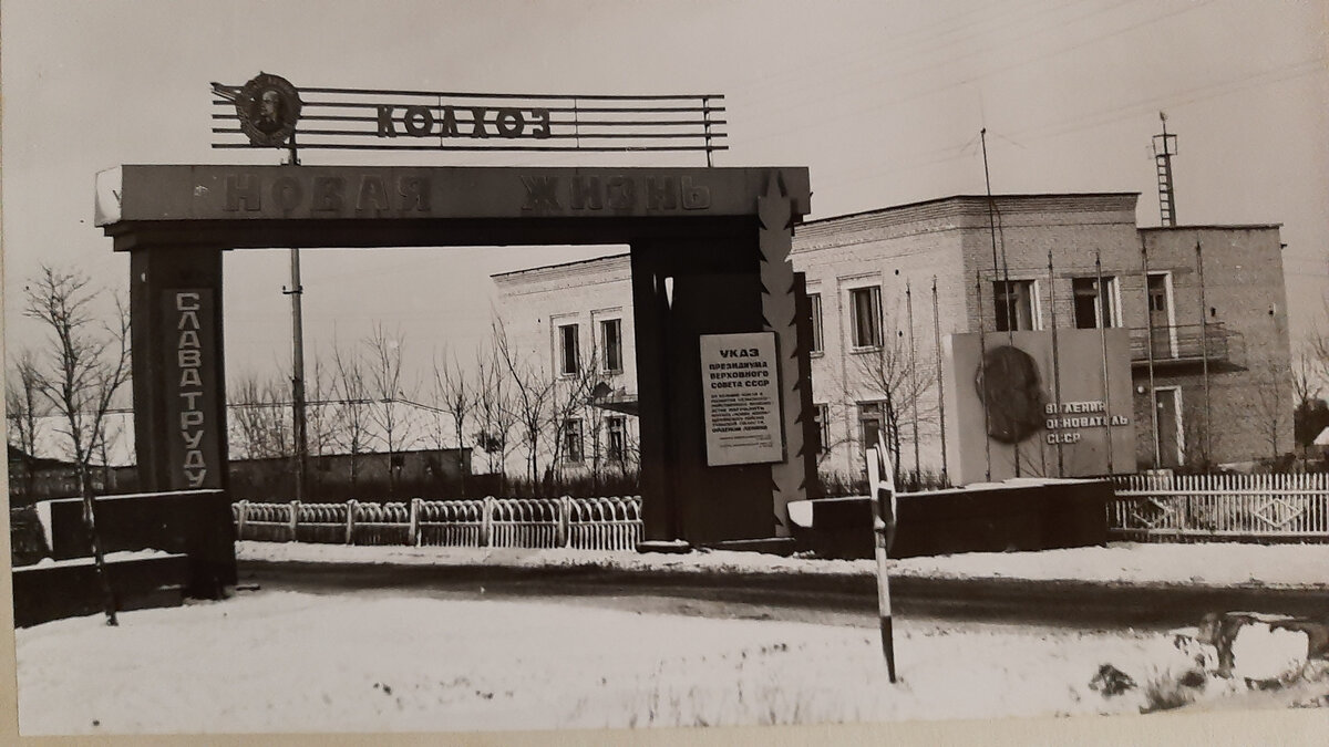 Правление колхоза "Новая жизнь"