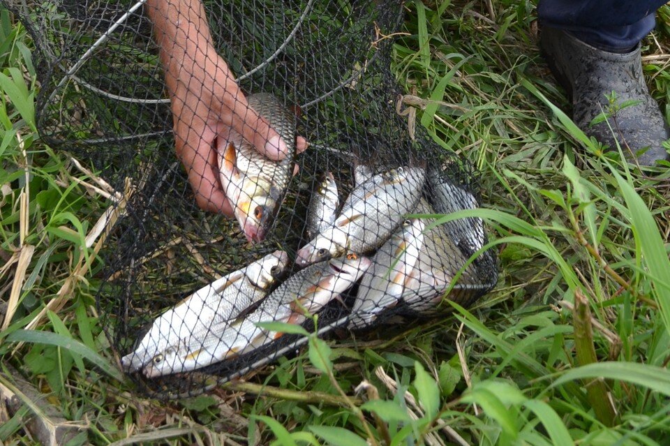     Под Липецком задержали браконьера Юлия КЛЮЕВА