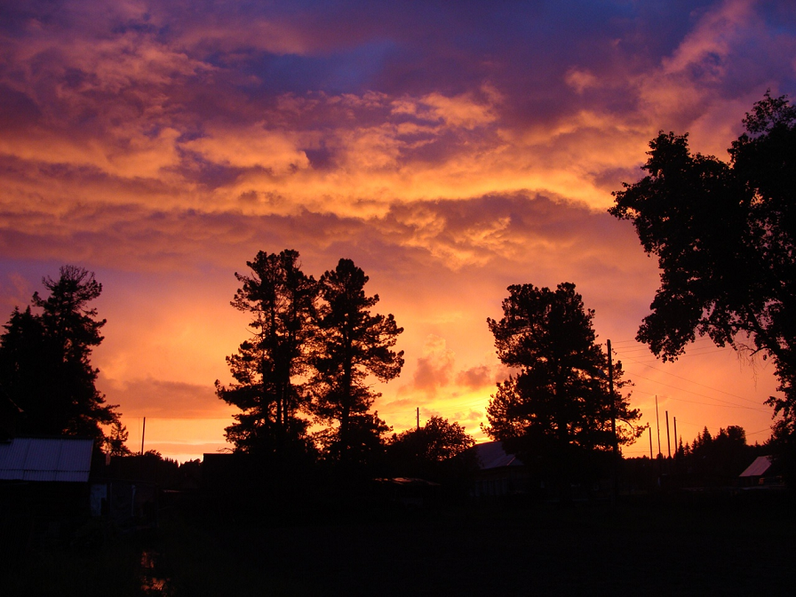 Вот они, на фоне заката