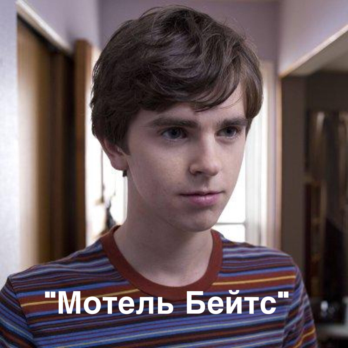 5 сезонов, 2013 год.