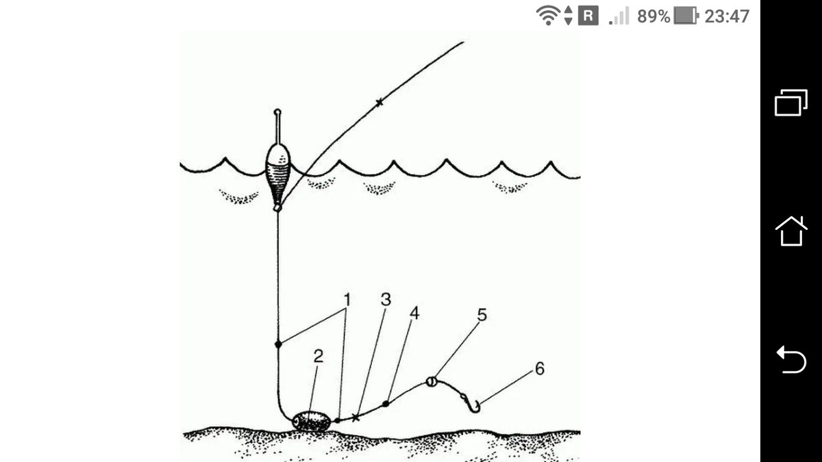 Поплавочная снасть на карася схема