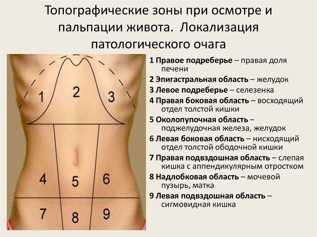 Какое предположение можно сделать