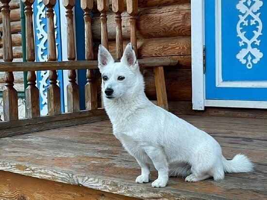     Фото: архив "МК в Калуге"