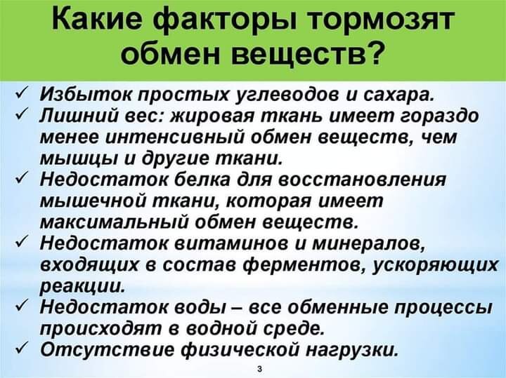 Метаболизм - обмен веществ.