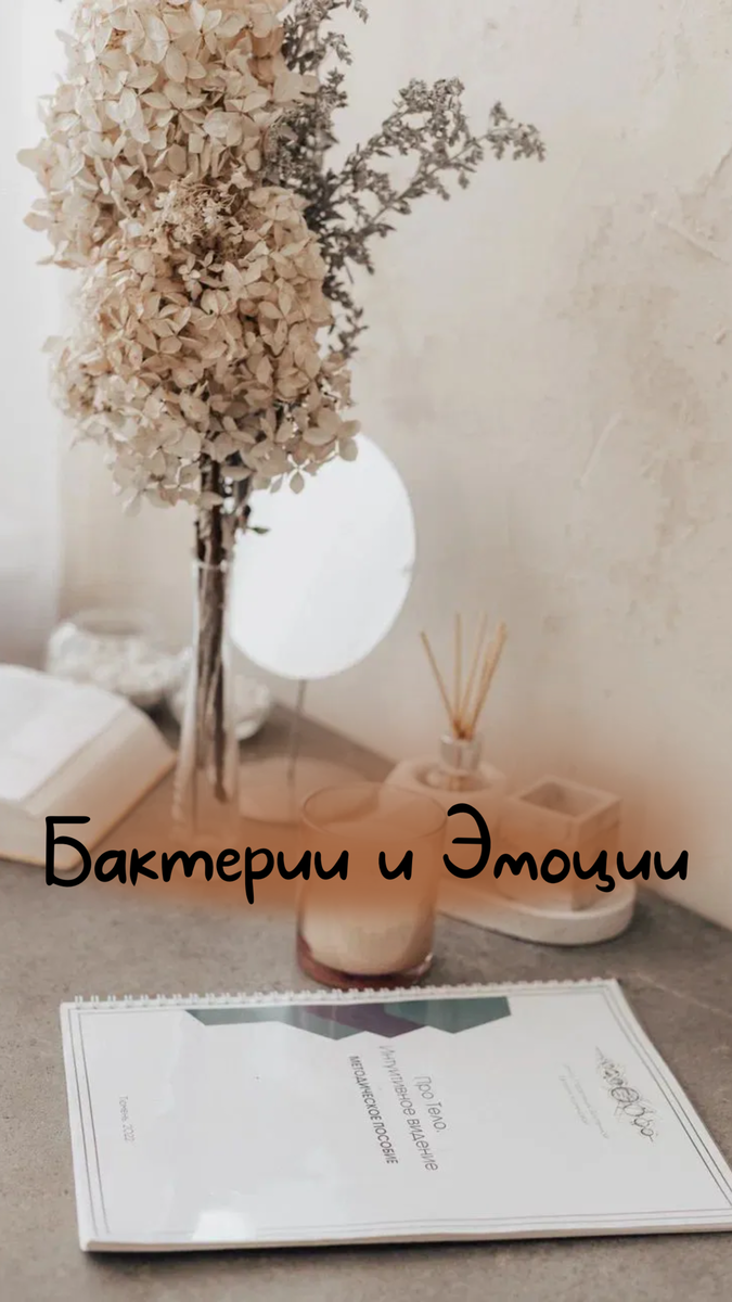 Одна из причин проникновения бактерий в организм-неуравновешенные эмоции.Если человек постоянно злится или испытывает страх,это увеличивает нагрузку на его имунную систему.Гнев и страх могут приносить пользу когда составляют инстинкт выживания -это их первичное предназначение!Но они не предназначены для постоянного непрерывного использования!При их злоупотреблении истощается иммунная система!