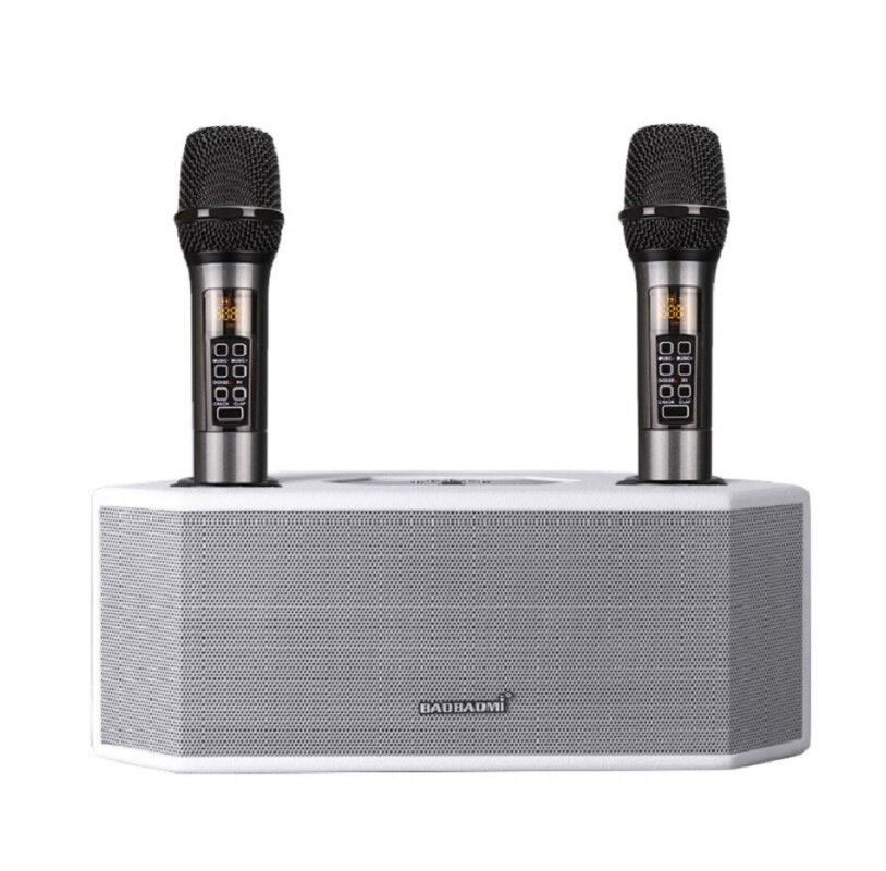 Караоке колонка. Микрофон-колонка к1 Karaoke Speaker EG-19-001. Enbao SG-922. Колонка с двумя микрофонами для караоке. Портативная колонка с караоке.