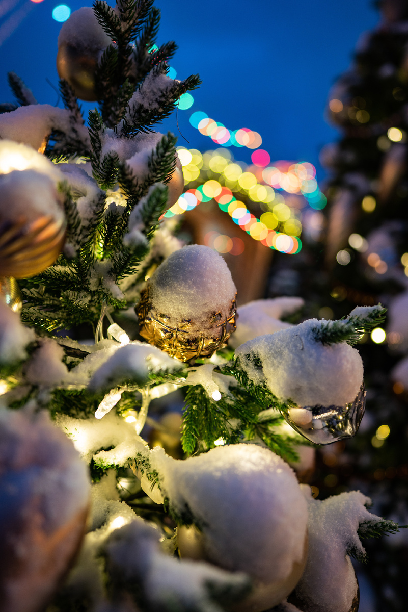 Photo by Mitya Ivanov on Unsplash