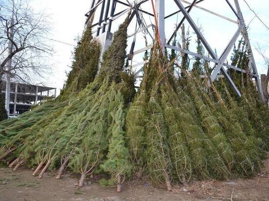   Администрация Астрахани