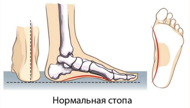 Стопы нужны не только для опоры и хождения. На подошвах тысячи нервных окончаний, волокна от которых идут к разным частям организма.-2