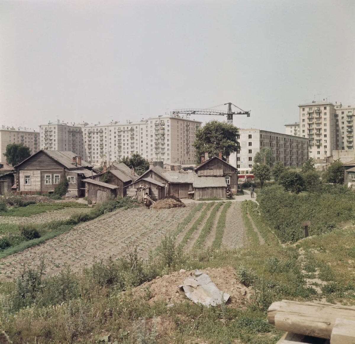 москва 1960 год