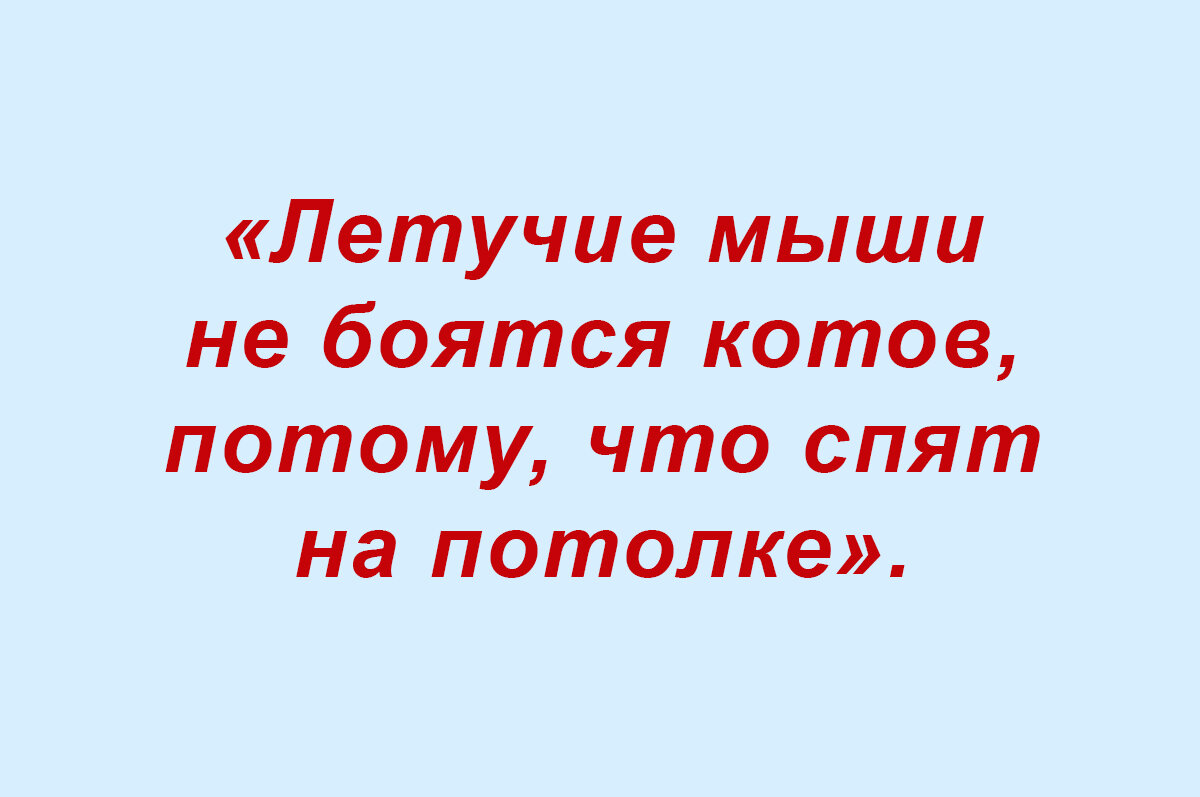 Посмеялся сам - поделись с другом!!!