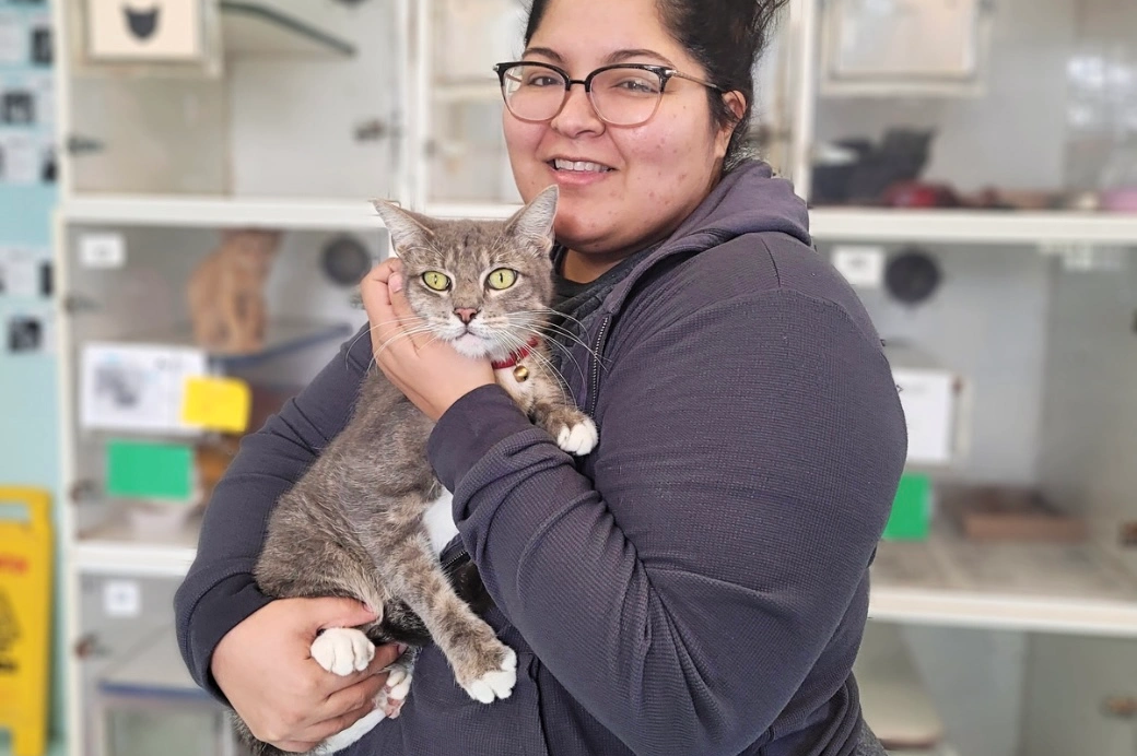     Кот вернулся к хозяйке спустя пять лет после того, как сбежал