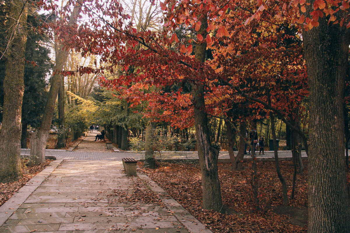 Парки и заповедники в этой стране прекрасны. Photo by Lala Azizli, Unsplash