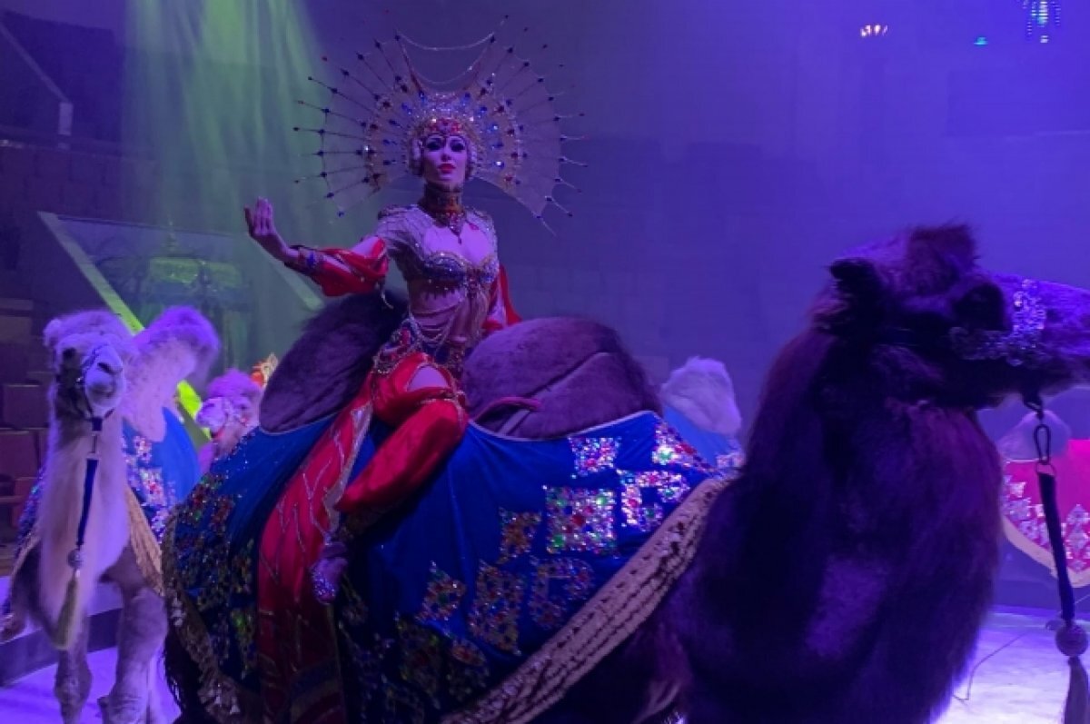    Песчаная сказка. Журналисты Воронежа увидели новое цирковое шоу Гии Эрадзе