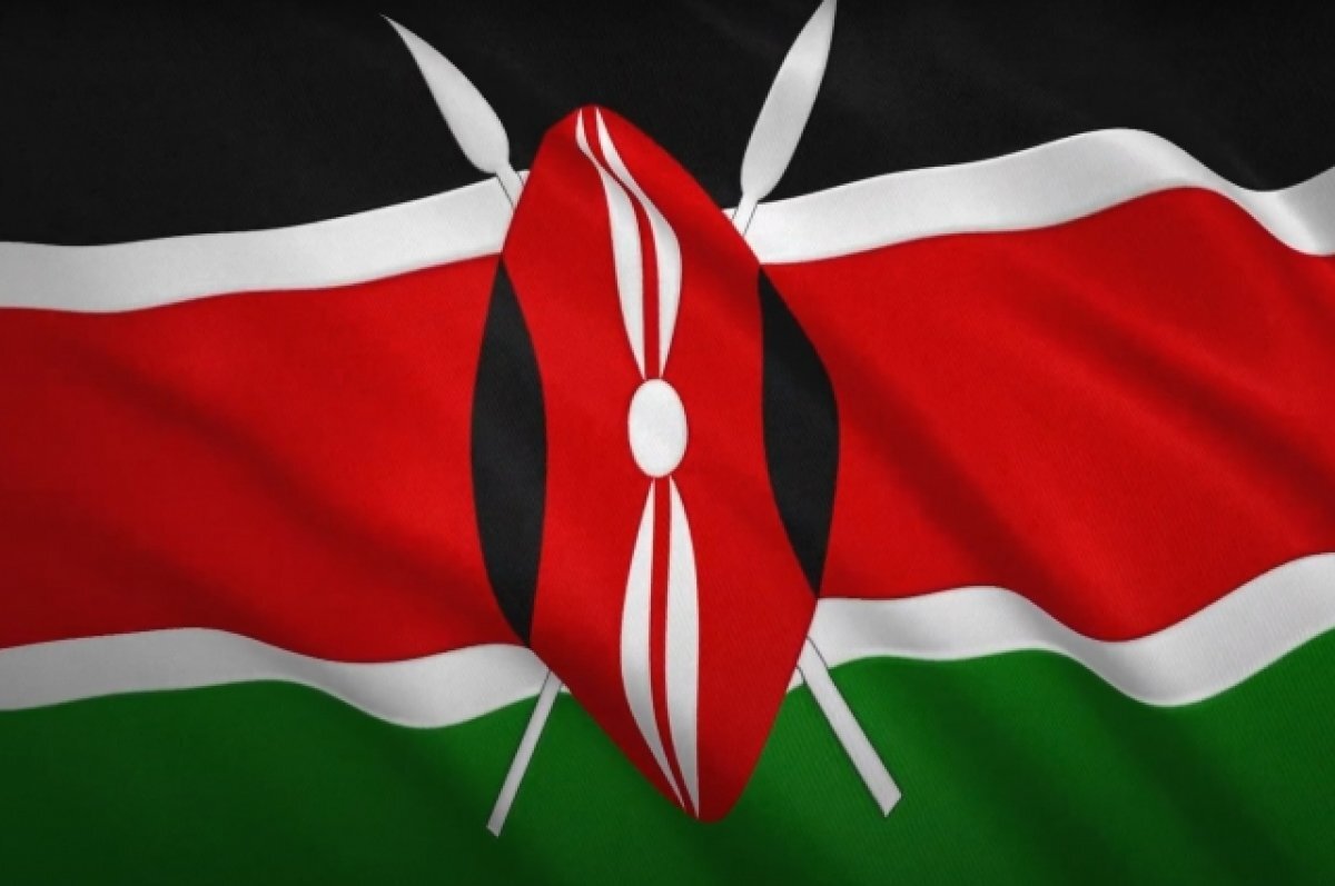    Посол Кении ответил на слова Борреля о том, что в Африке не знают о России