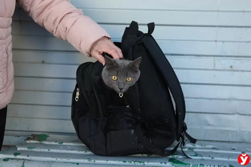 Фото из архива Минской правды