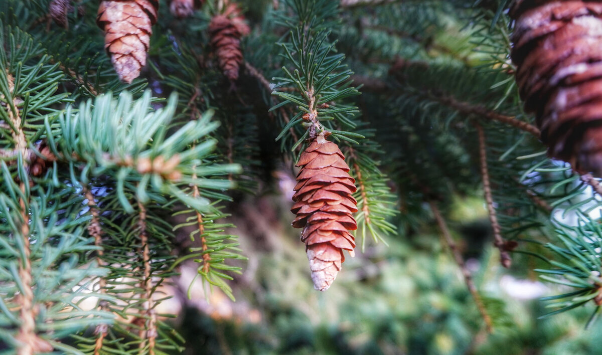 Фото: Meri Vasilevski / © unsplash.com
