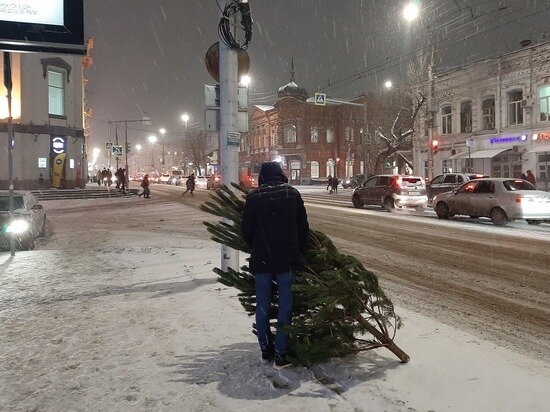     Фото: МК в Саратове