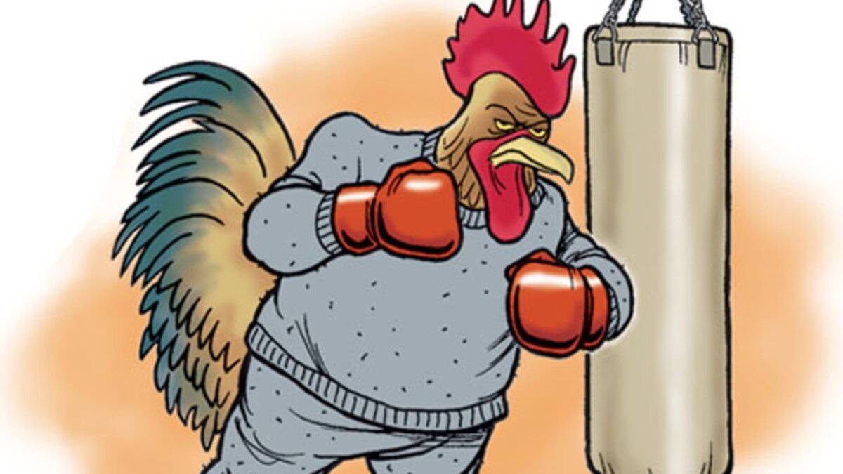 Взято из открытых источников.