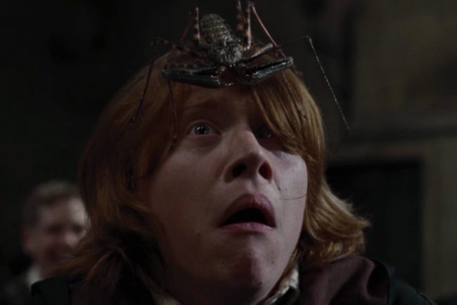 кадр из фильма «Гарри Поттер и Кубок Огня» (Harry Potter and the Goblet of Fire), 2005/Warner Bros. Pictures/Heyday Films/Patalex IV Productions Limited