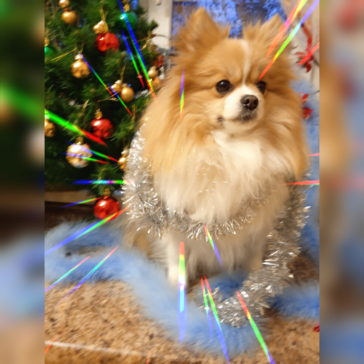 С новым годом!