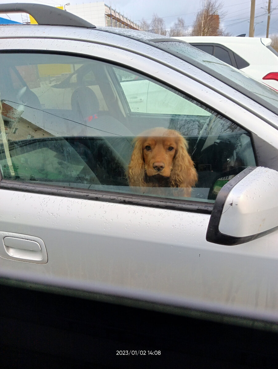 Фото из личной галереи автора