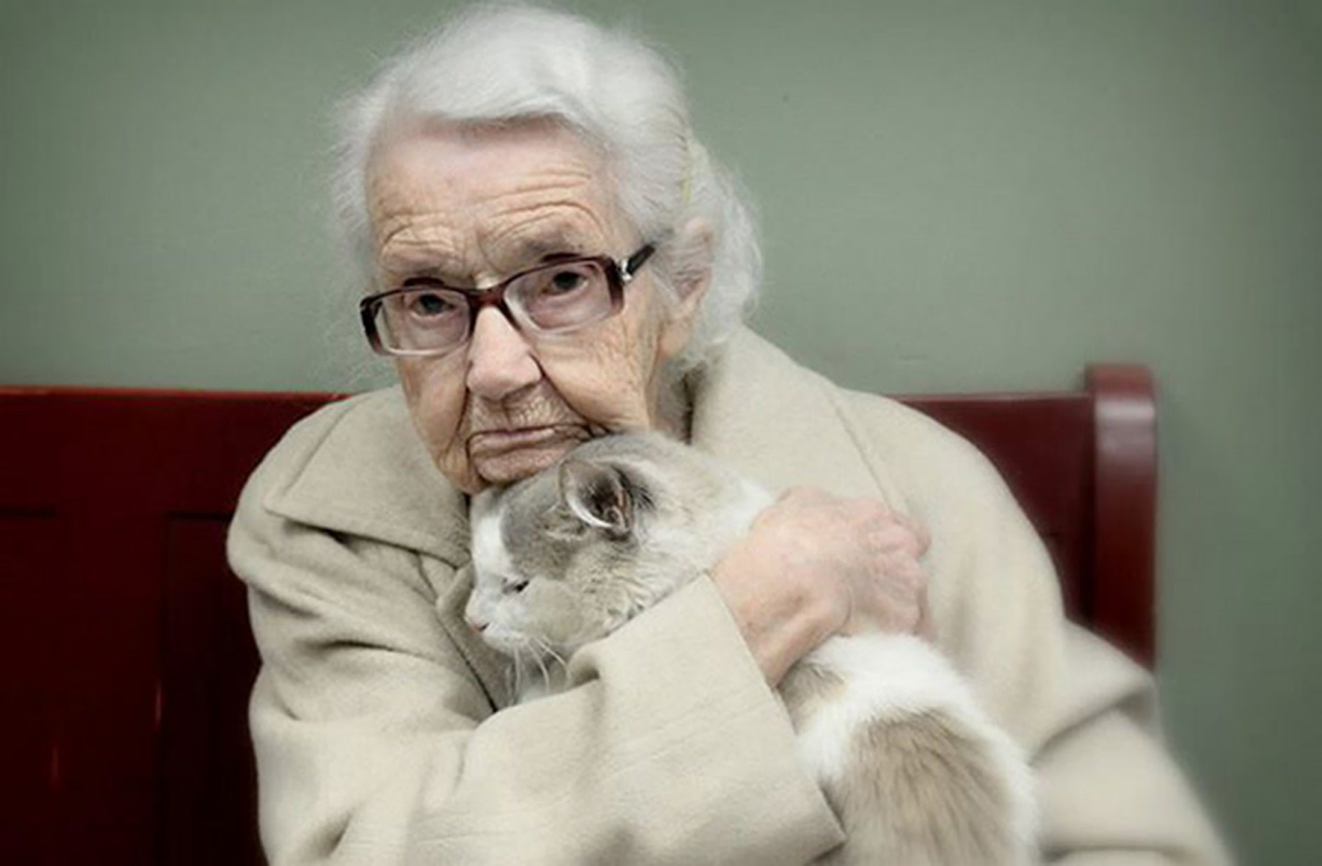 Пожилые собаки возраст. Бабушка с котом. Пожилые люди и животные. Пожилая женщина с котом. Бабушка с котиком.
