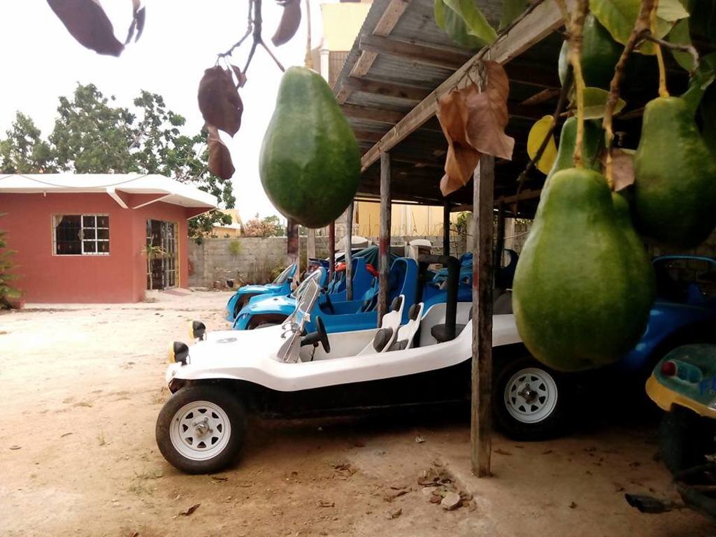 Фотогалерея тура по Пунта-Кана