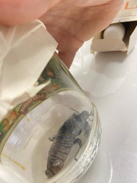     Фото: vk.com НеТипичный Ноябрьск/Юлия Галабурда