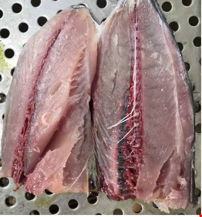 Мясо полосатого тунца серое, как у обычной рыбы