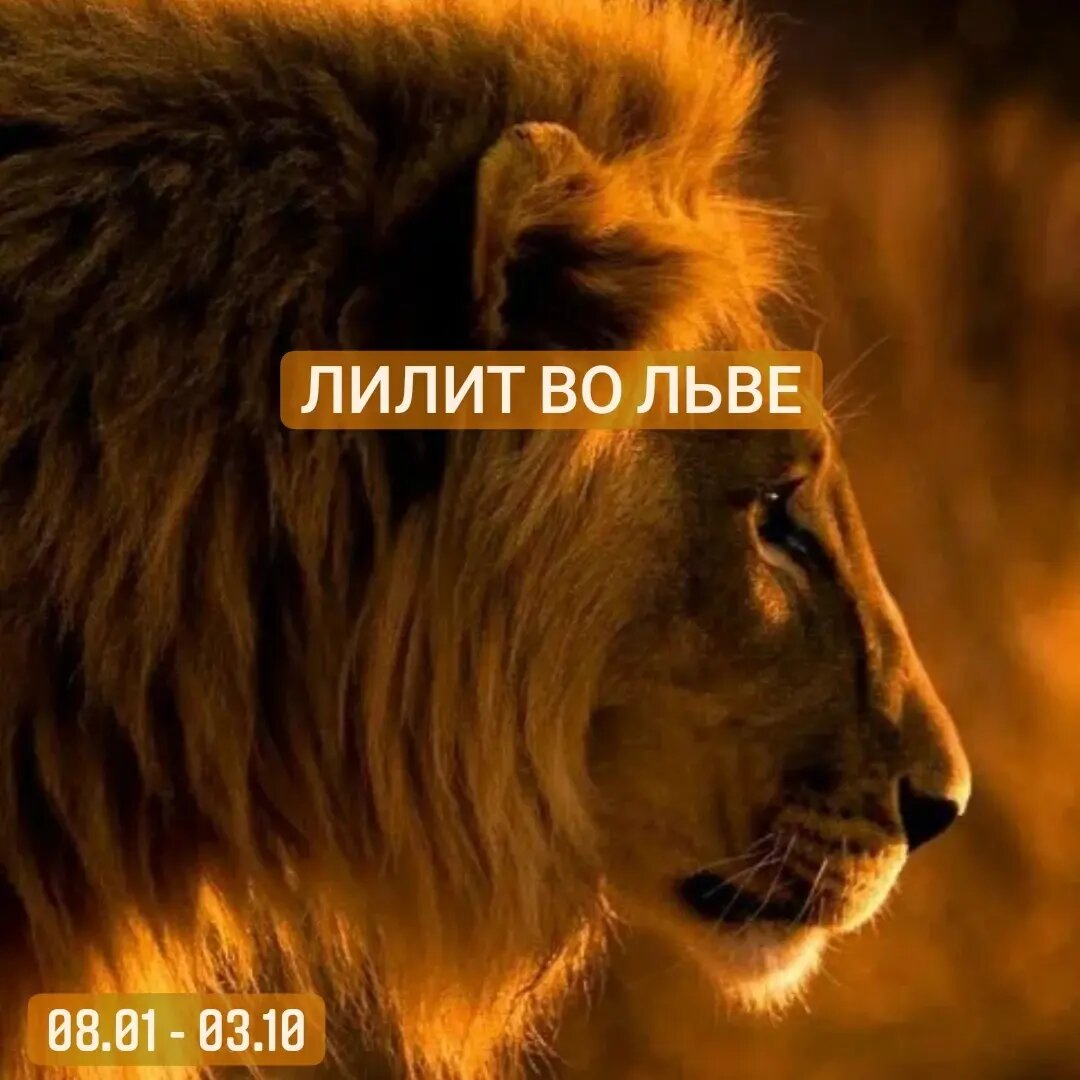 Лилит во Льве.