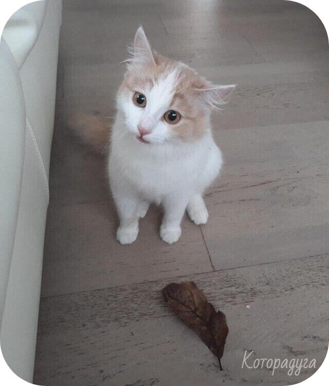 Источник: reddit.com
