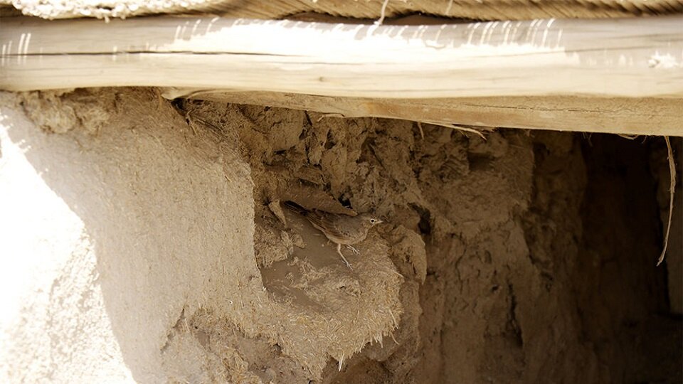 ответ 5000 лет в