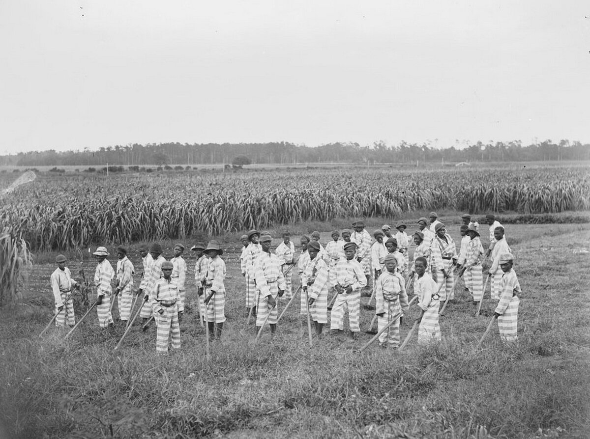 История 25. Оборнская тюремная система. Фото 1903 года 1000 человек. Американские заключенные в черно белом.