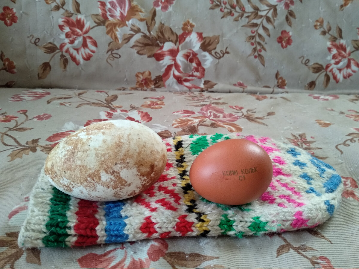 Загадочное яйцо 