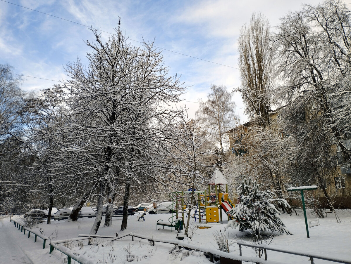 Курск, ул. Комарова, январь 2023.