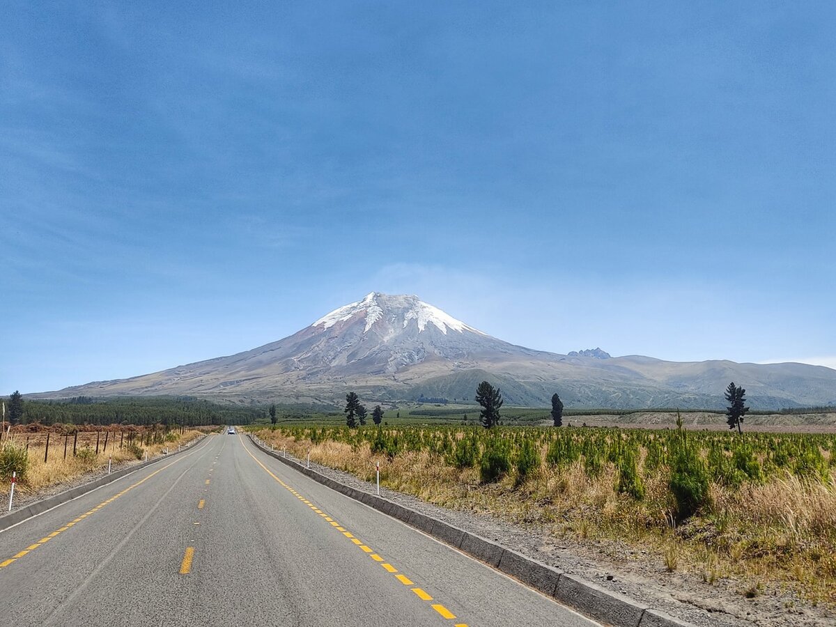 Котопакси днем