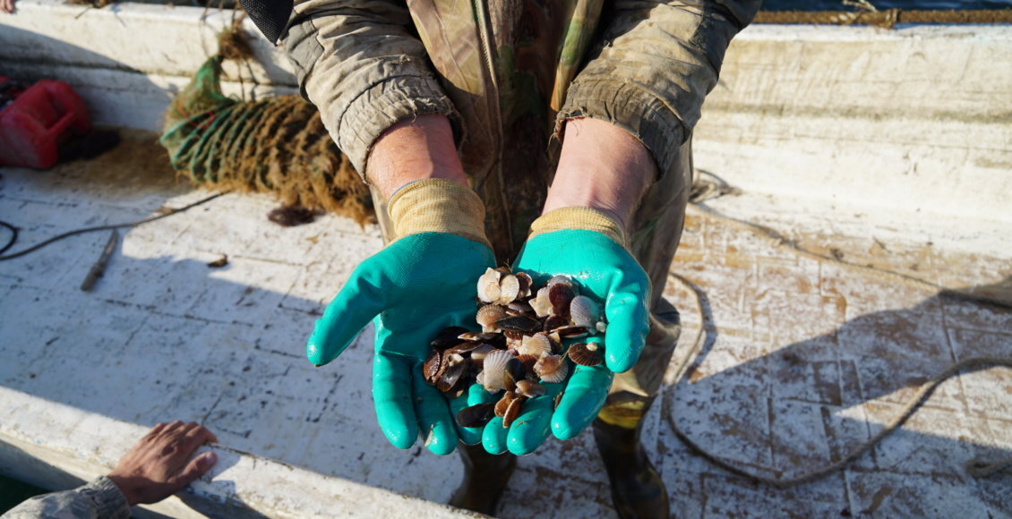    Фото: Приморское территориальное управление Росрыболовства