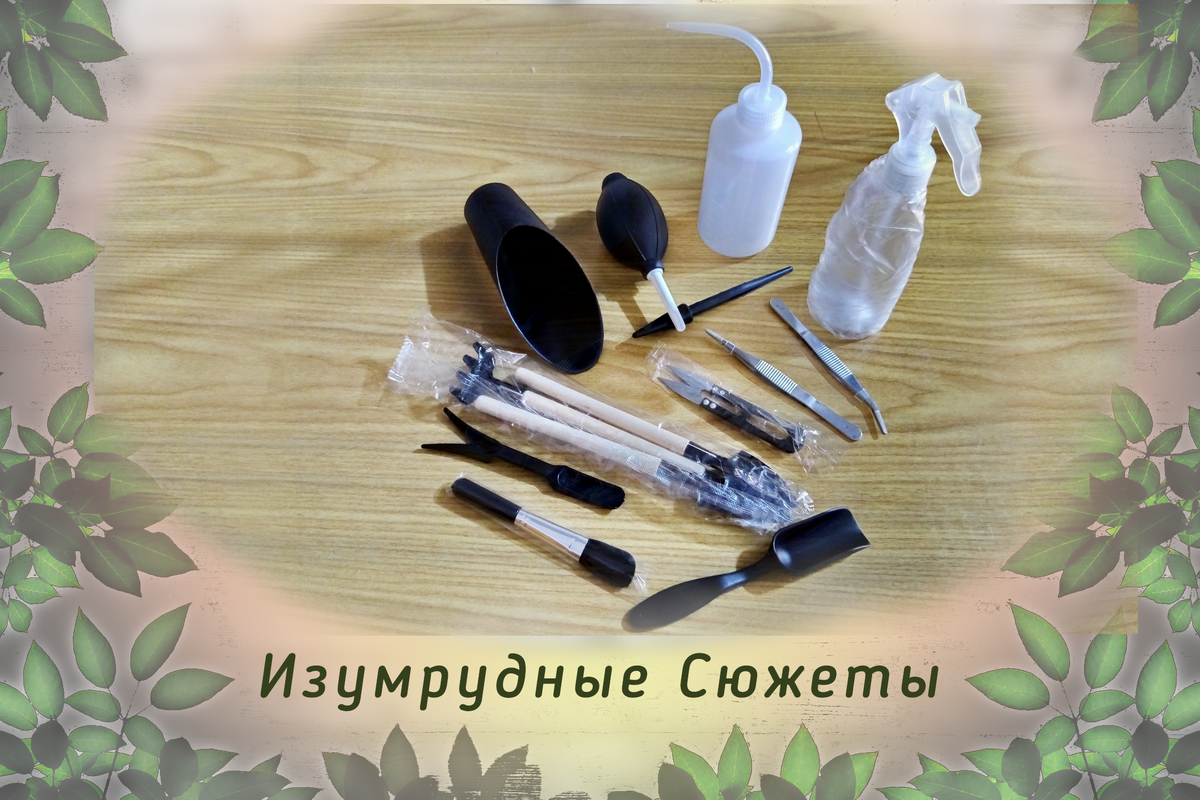 Фото автора