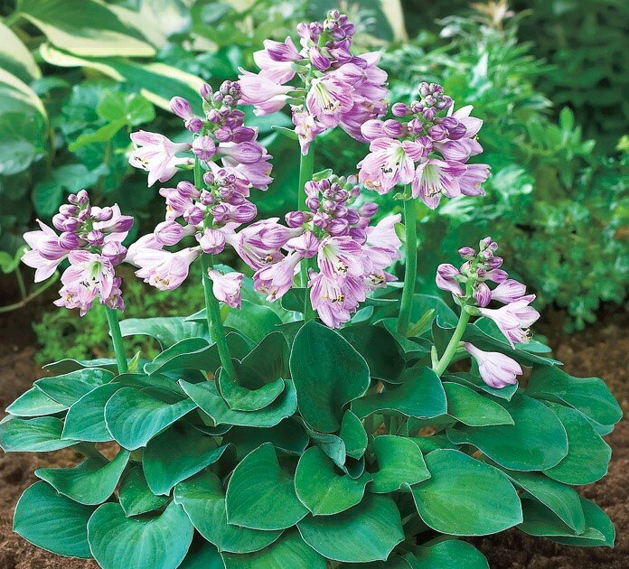 Из источников.