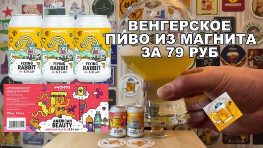 В Магнитах появилось классное пиво из Венгрии🍻