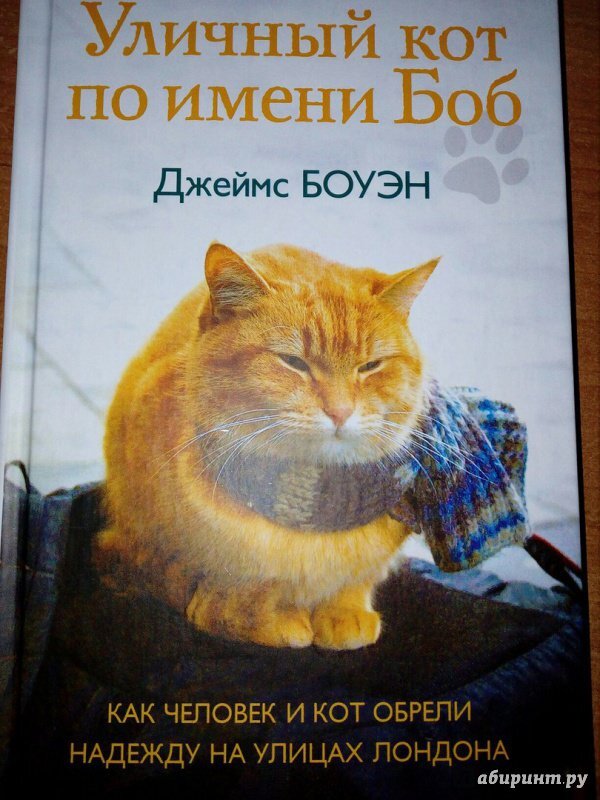 Десять книг про котов и кошек